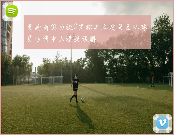 费迪南德力挺C罗称其本质是团队球员性情中人遭受误解